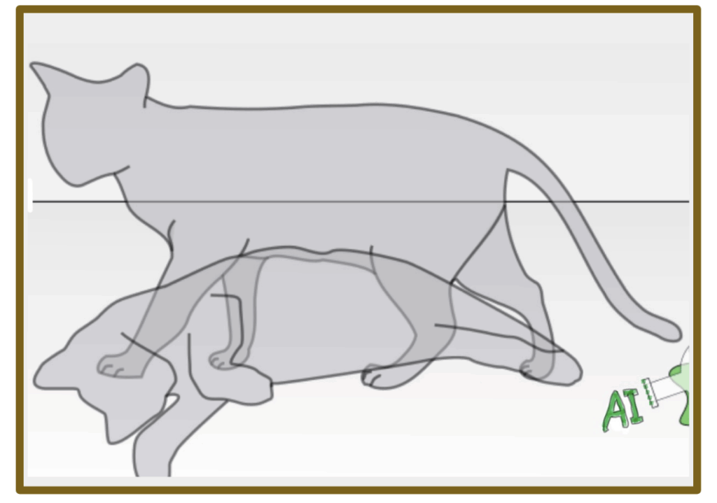 A brown box inside of which are two shadows of a cat, one standing (alive) and one lying down (dead). Next to it is a spilled vial of green stuff which spells the letters, AI